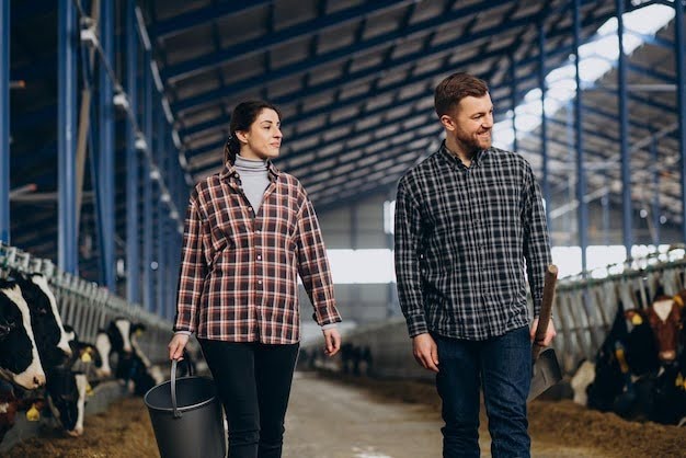 Dairy Farm Floor
